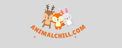 animalchill.com